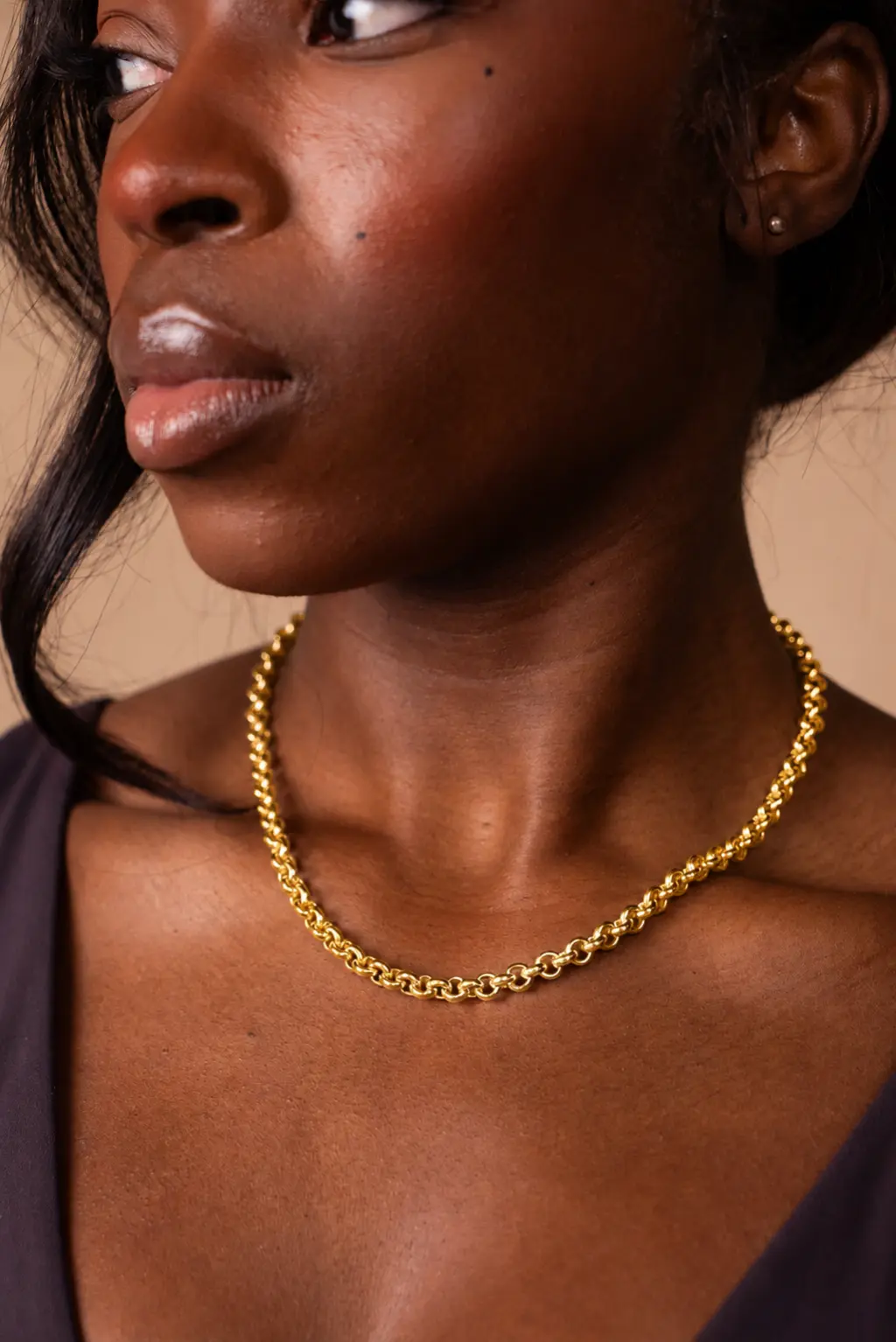 Gold Plated | The Gold Plated Circles