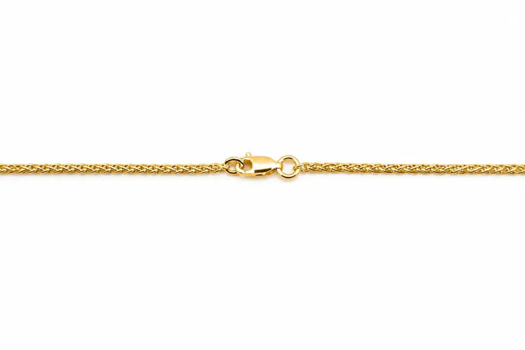 Gold Plated | The Gold Plated Symphony