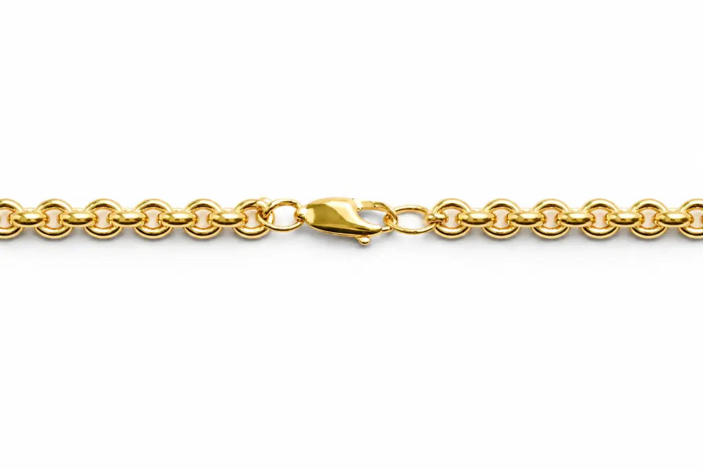 Gold Plated | The Gold Plated Circles